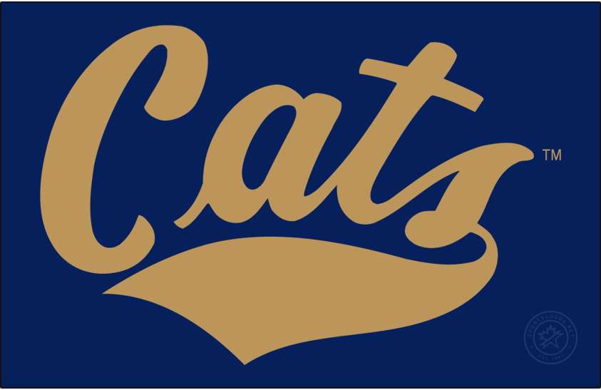 Montana State Bobcats 2017-Pres Wordmark Logo t shirts iron on transfers